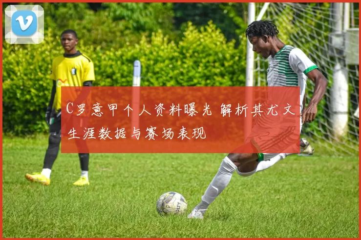 C罗意甲个人资料曝光 解析其尤文生涯数据与赛场表现