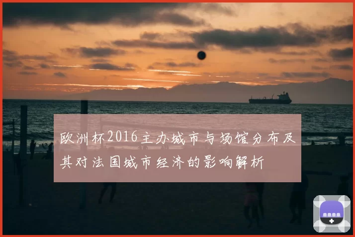欧洲杯2016主办城市与场馆分布及其对法国城市经济的影响解析
