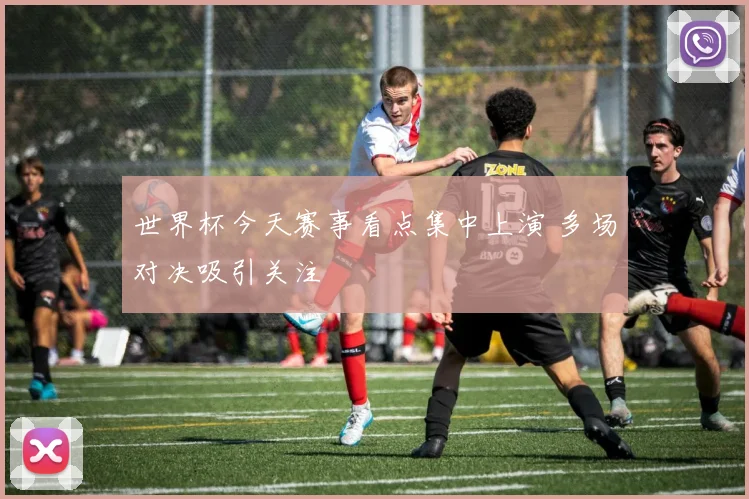世界杯今天赛事看点集中上演 多场对决吸引关注