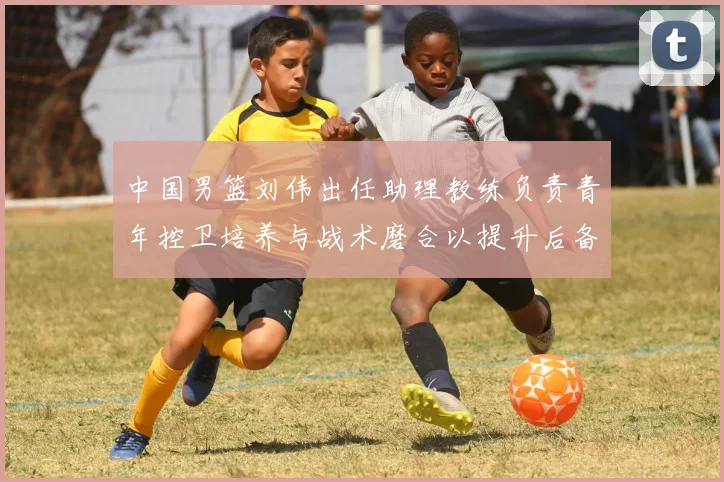 中国男篮刘伟出任助理教练负责青年控卫培养与战术磨合以提升后备力量