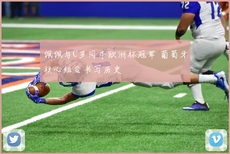 佩佩与C罗同夺欧洲杯冠军 葡萄牙核心组合书写历史